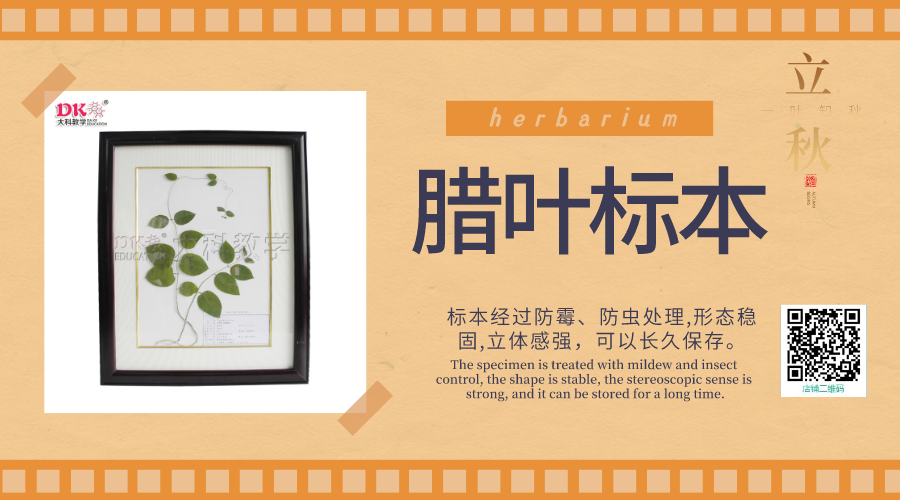 植物標(biāo)本的制作過(guò)程