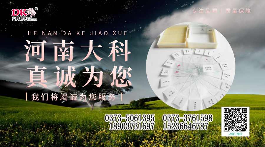 昆蟲(chóng)標(biāo)本的制作方法