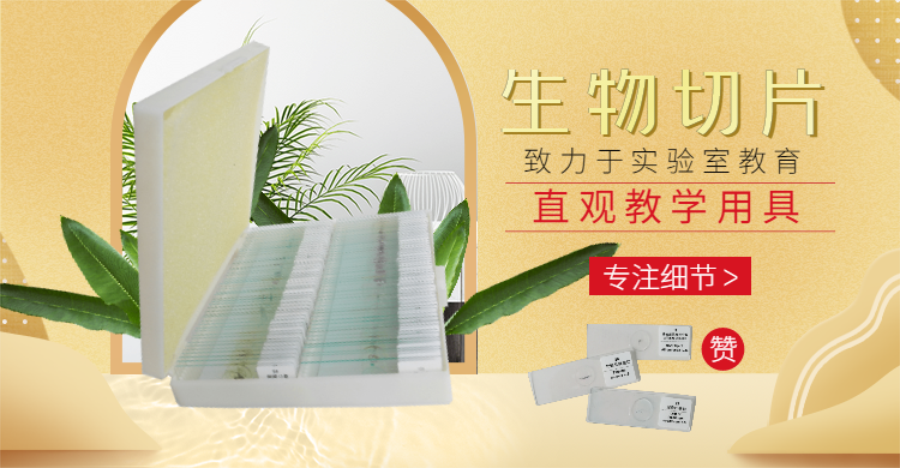 稿定設(shè)計導出-20200424-160732